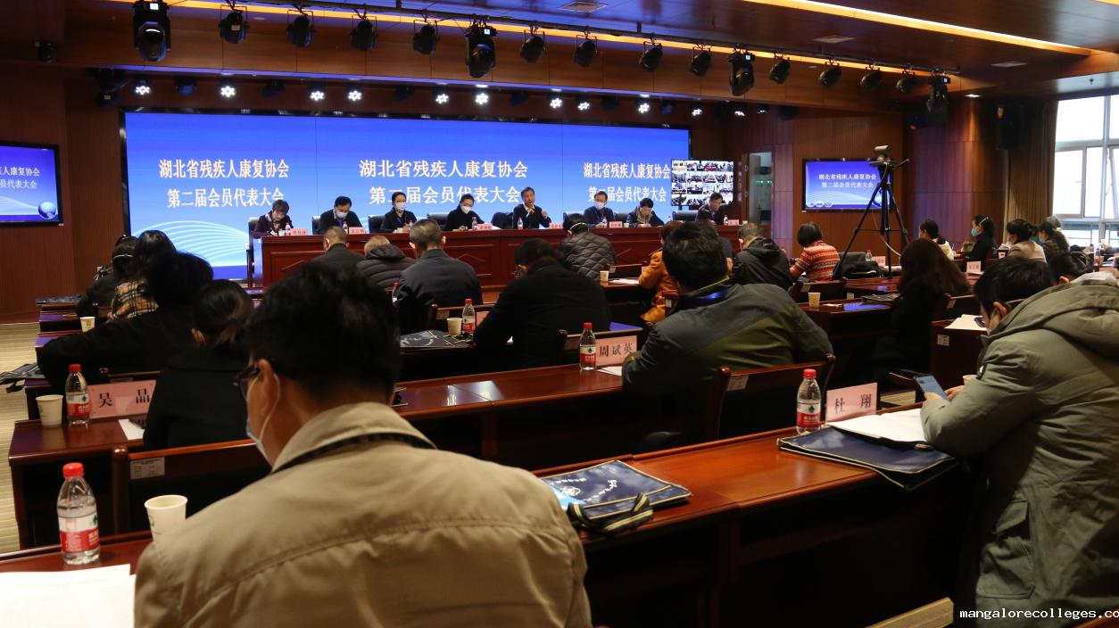图为会议现场